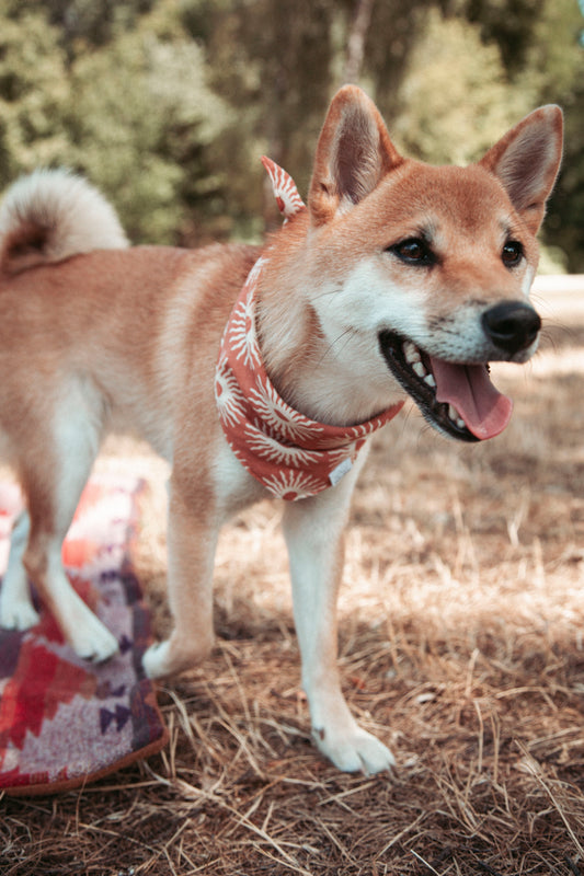 Hundehalstuch Solstice | Handgemachtes Bandana im Bohostil