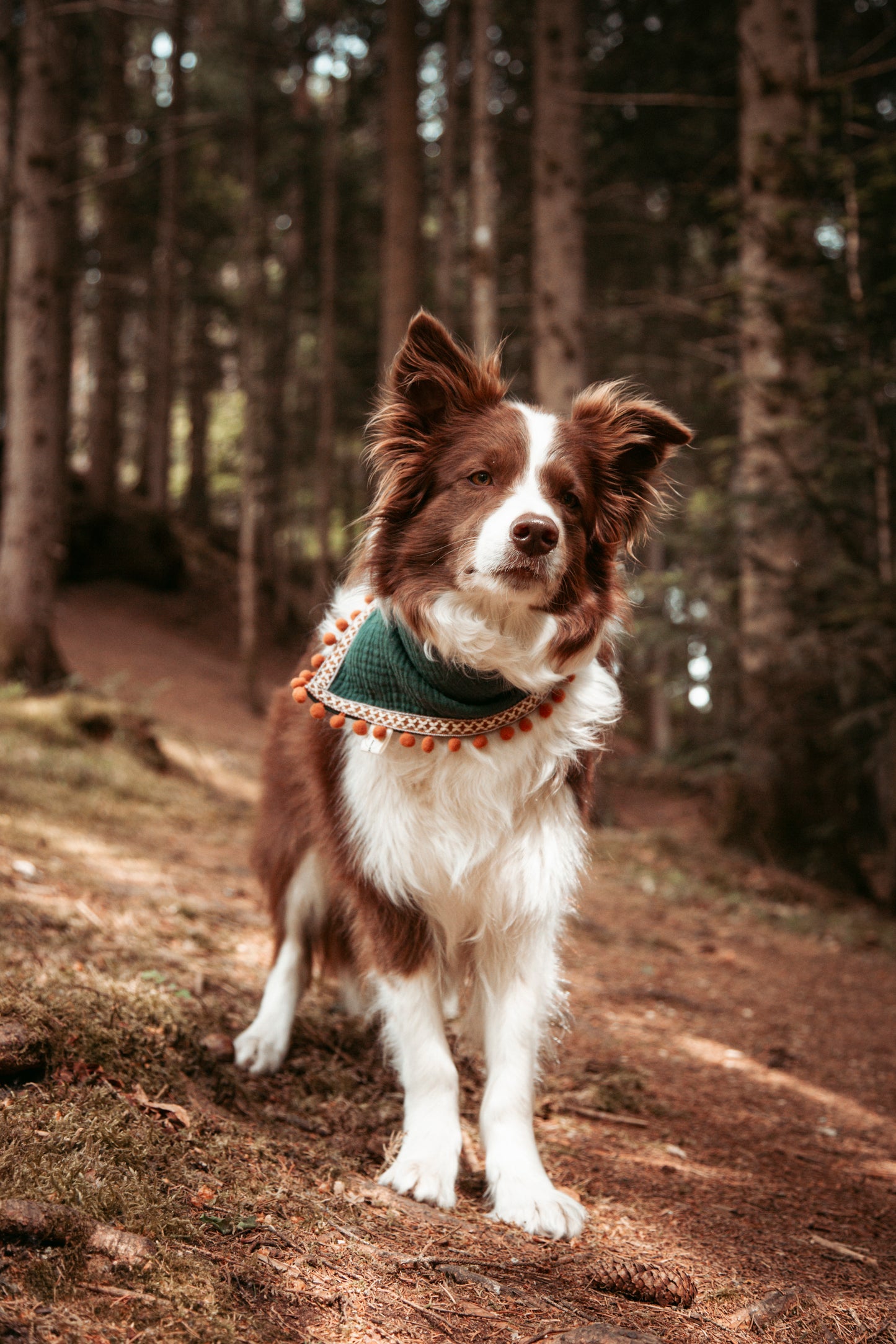 Entdecke unser Hundehalstuch „Boho“ – Dogwear im Ethno-Stil aus Musselin mit Quasten. Leicht, handgemacht & perfekt für Outdoor-Abenteuer mit deinem Hund.