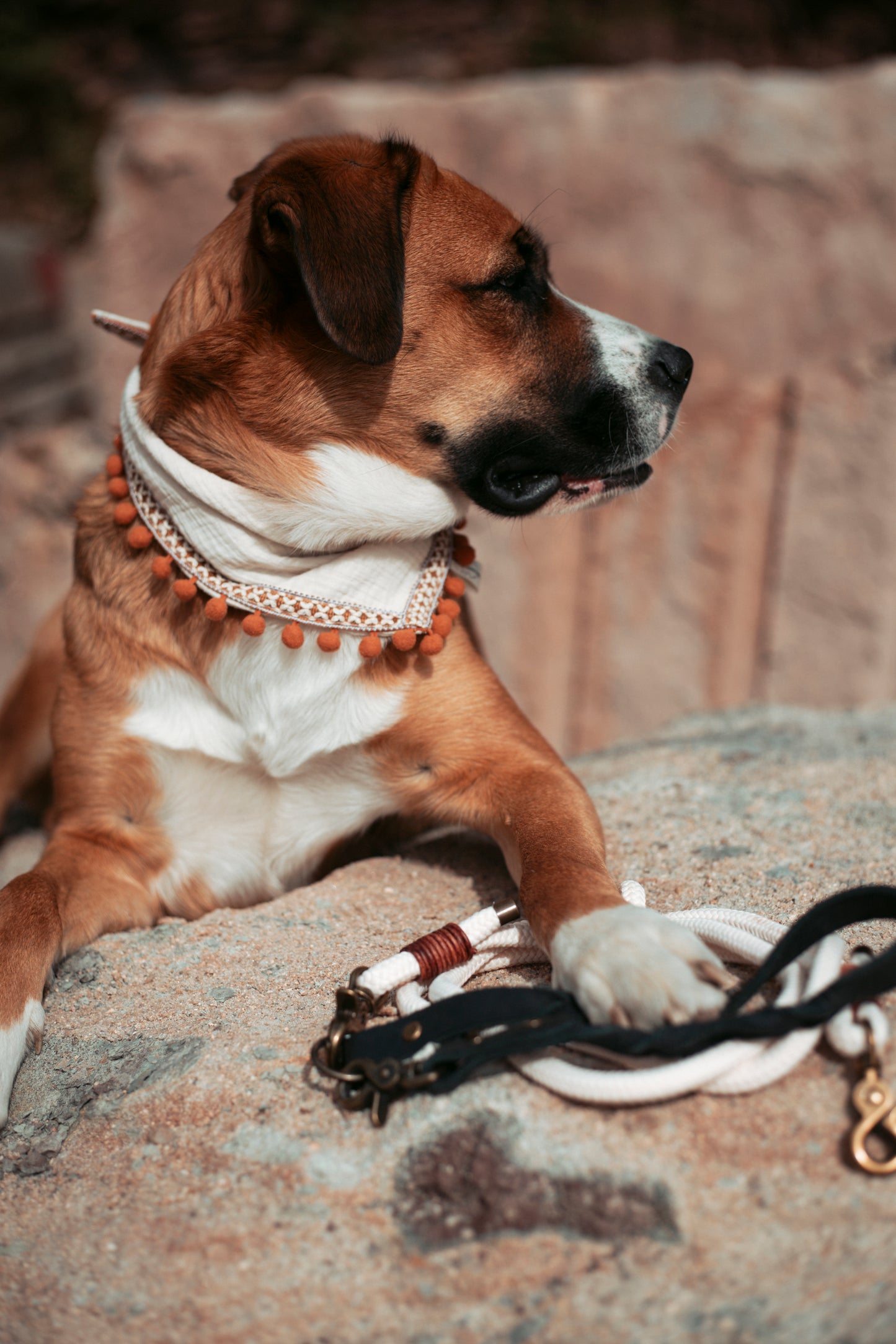 Entdecke unser Hundehalstuch „Boho“ – Dogwear im Ethno-Stil aus Musselin mit Quasten. Leicht, handgemacht & perfekt für Outdoor-Abenteuer mit deinem Hund.