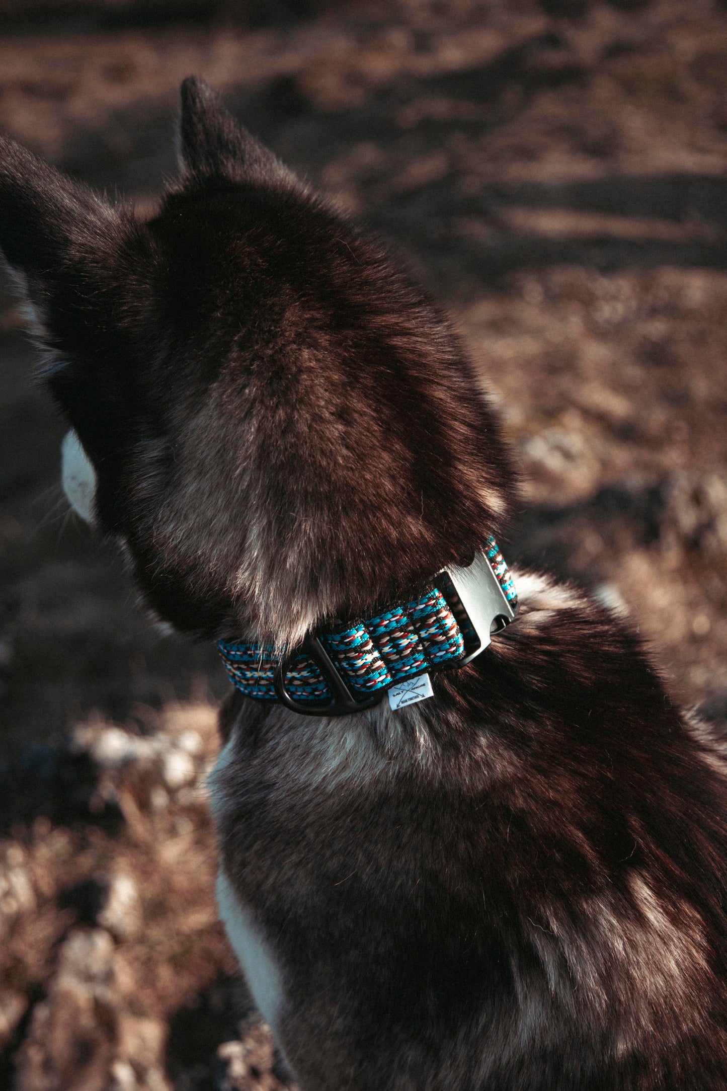 Hundehalsband - NØRDEN PAWS Collection - Glacier