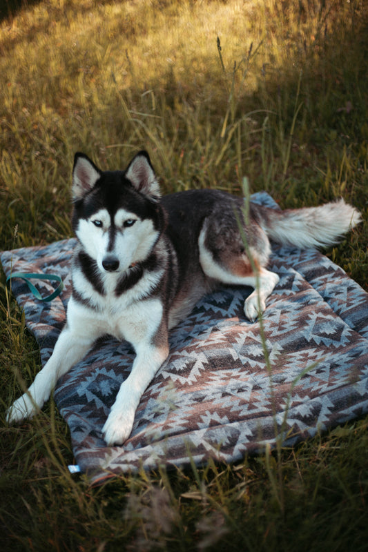 Travel Blanket | Basecamp | Pine & Peak