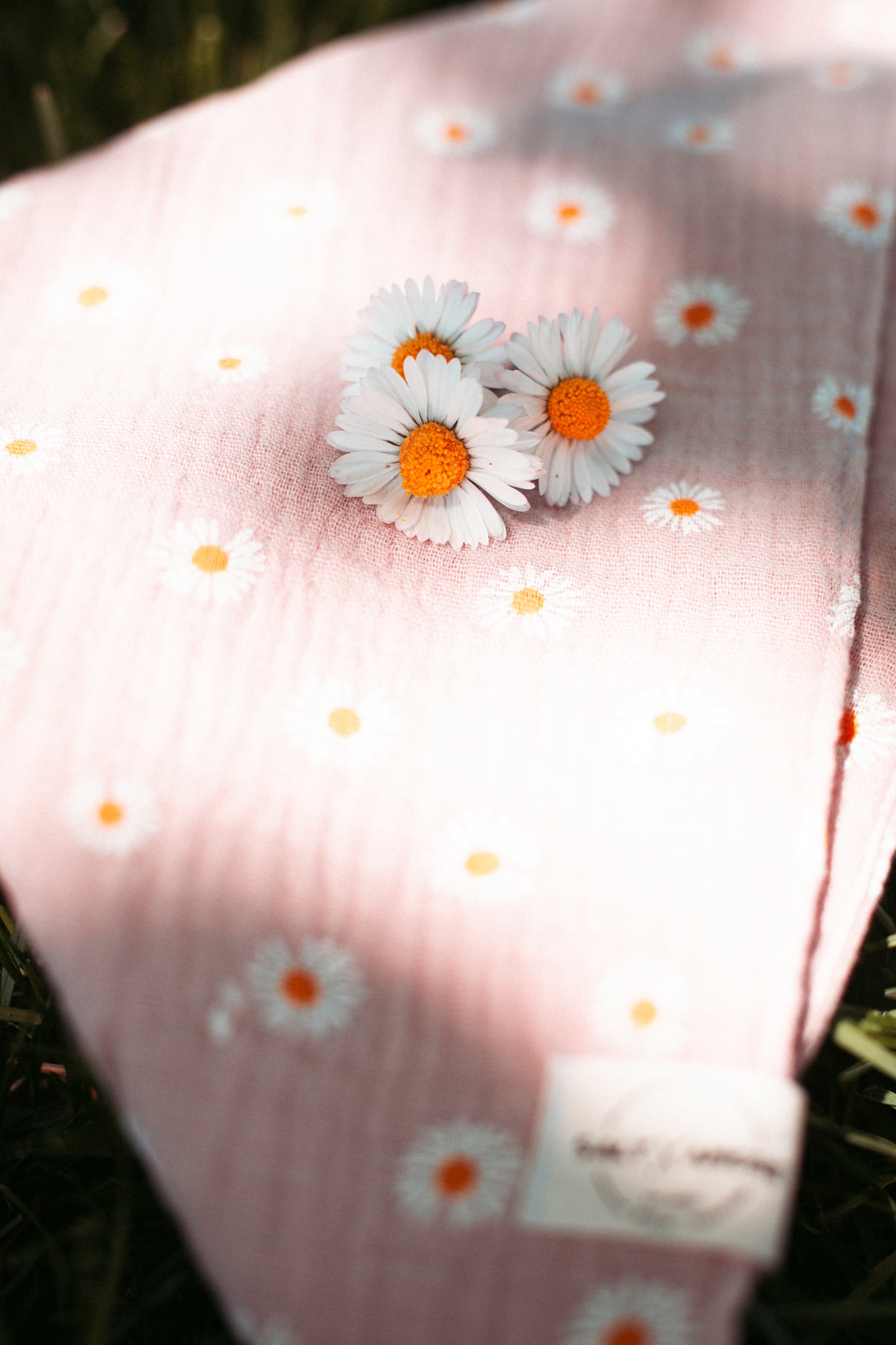 Handgemachtes Hundehalstuch aus Bio-Musselin mit Gänseblümchen-Print in Rosé – leichtes, stylisches Hundezubehör & perfekt für deinen Outdoorsommer mit Hund.