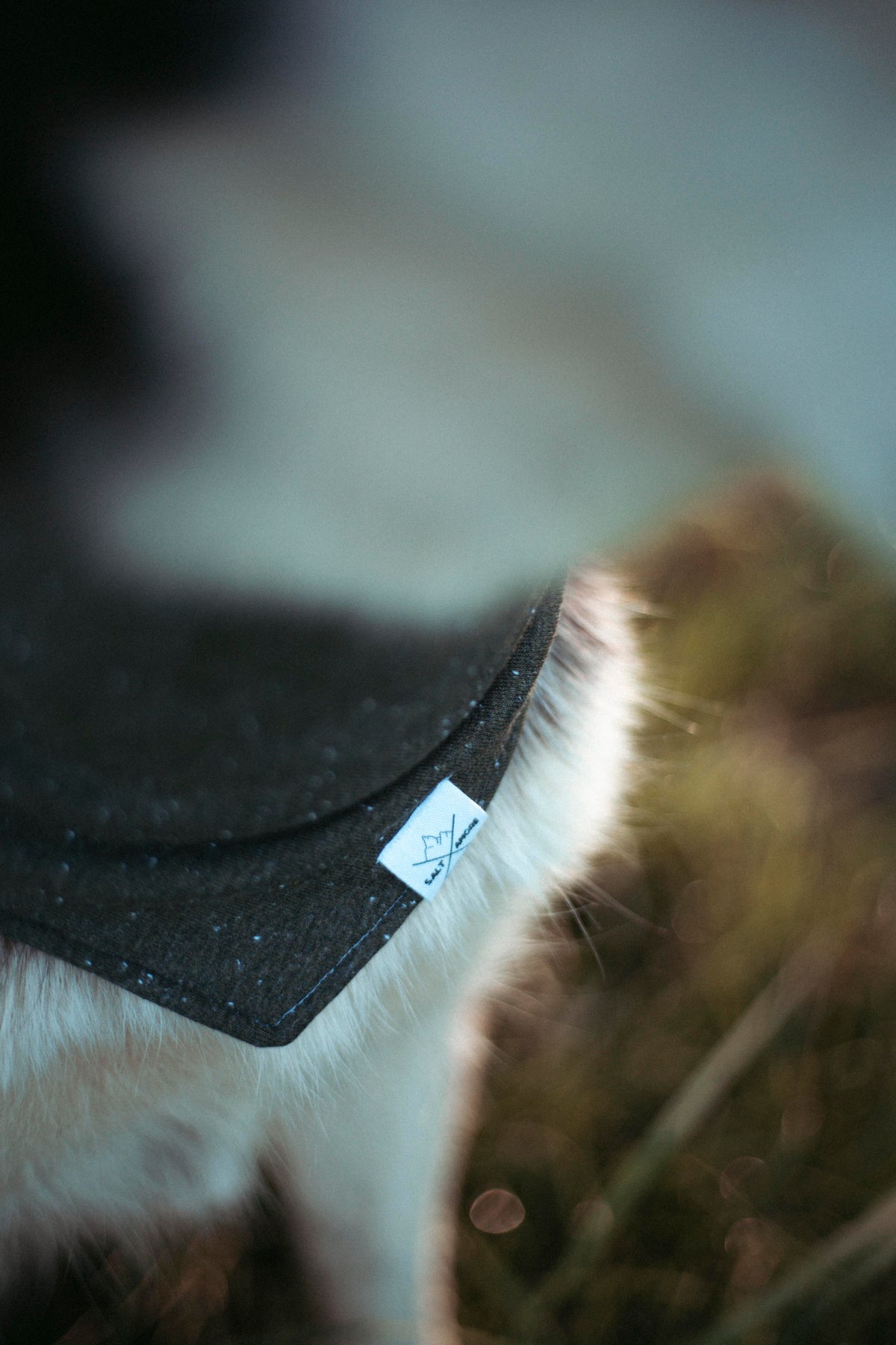 Woodland | Hundehalstuch