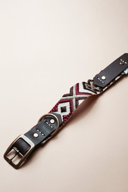 Hundehalsband - Roamer