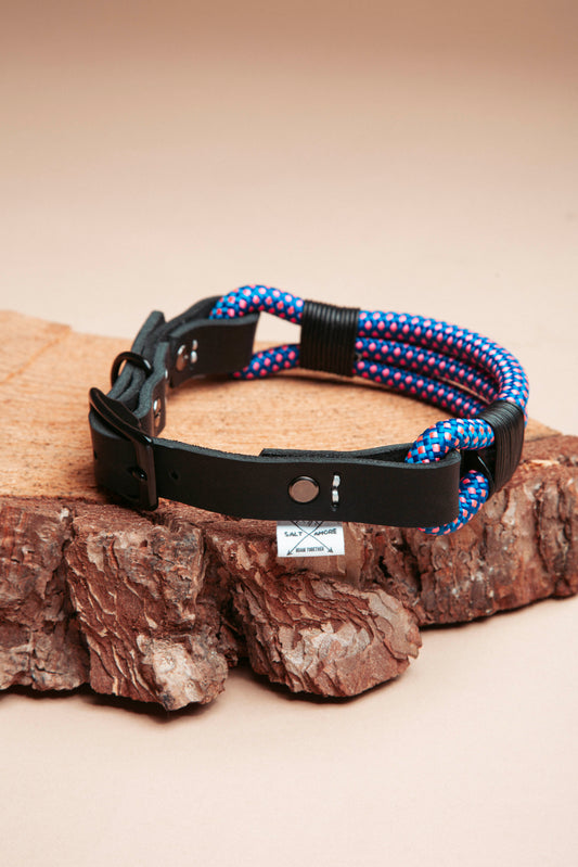 Hundehalsband Mountain Climber | Northern Summit Collection