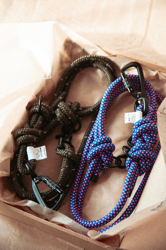 Hundeleine - Northern Summit Collection „Mountain Climber“