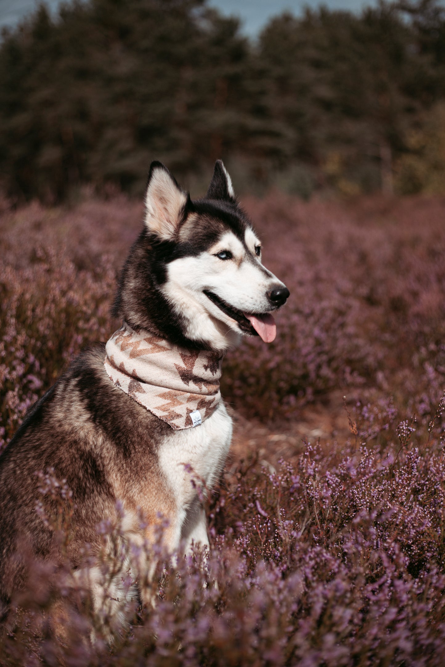 Hundehalstuch -  Roots of the North