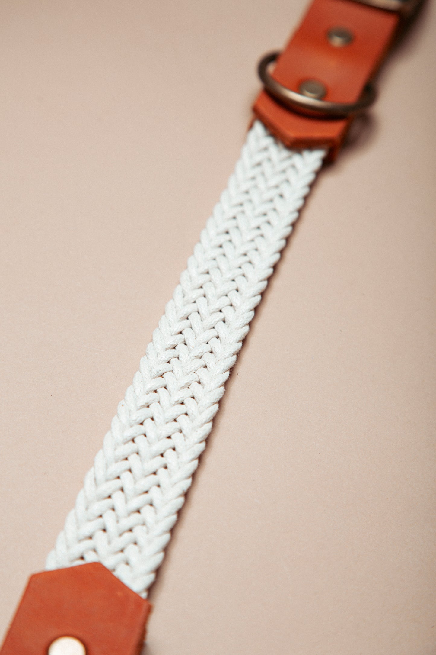 „Robustes, handgemachtes Hundehalsband aus gepflochtenem Gurtband und weichem Fettleder im beliebten Bohostil – langlebige, stylische Dogwear. Das Hundezubehör für deinen Alltag oder dein nächstes Abenteuer!