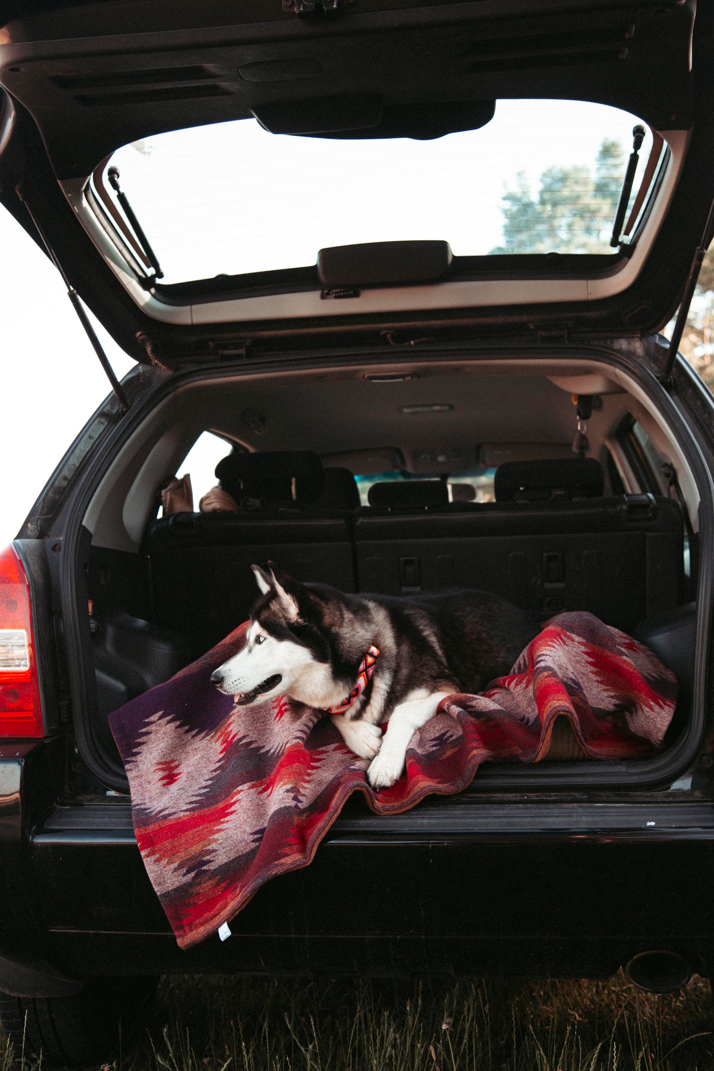 Cozy Blanket | Wildcamp | Kuscheldecke | Hundedecke