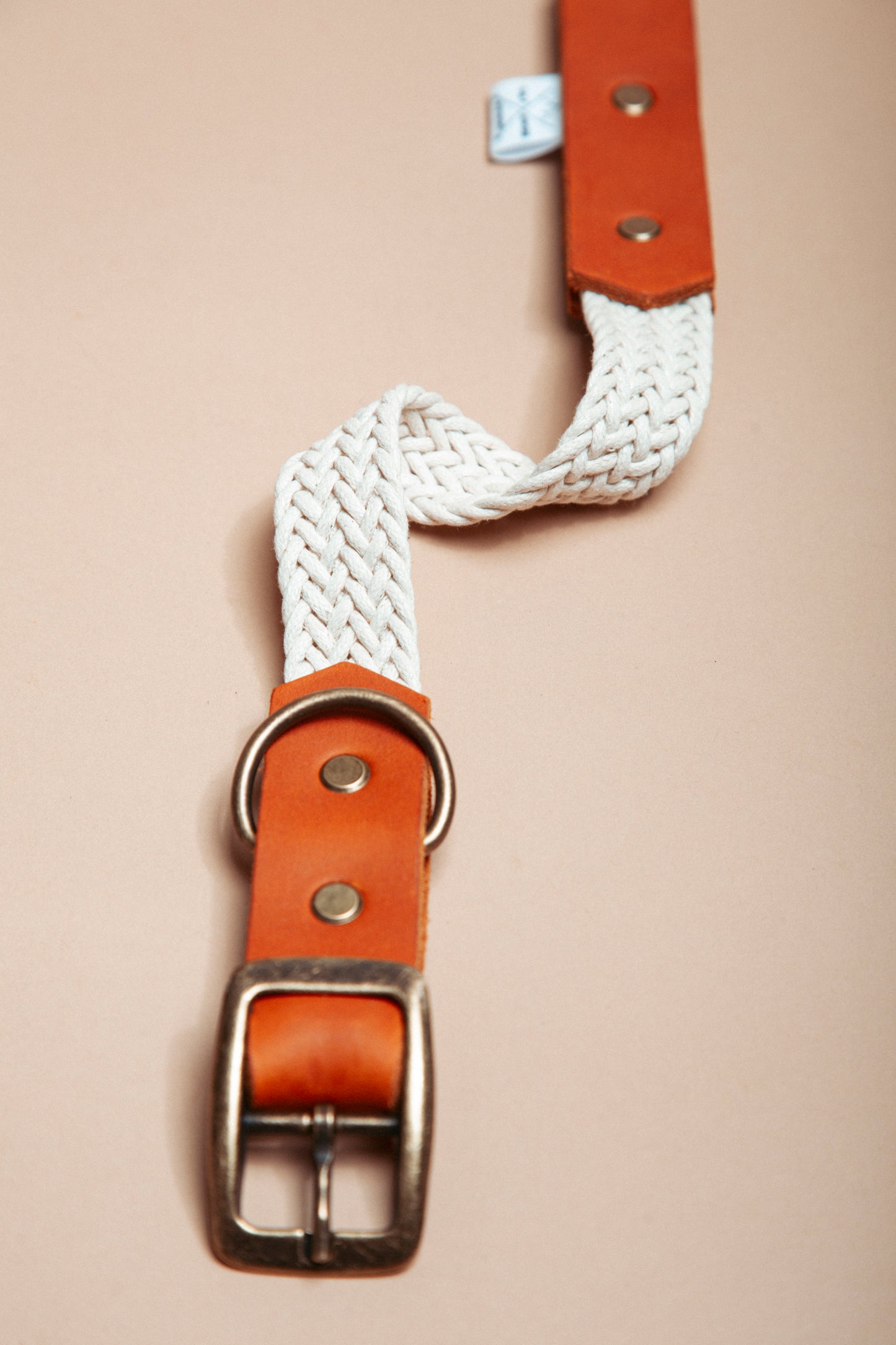 „Robustes, handgemachtes Hundehalsband aus gepflochtenem Gurtband und weichem Fettleder im beliebten Bohostil – langlebige, stylische Dogwear. Das Hundezubehör für deinen Alltag oder dein nächstes Abenteuer!