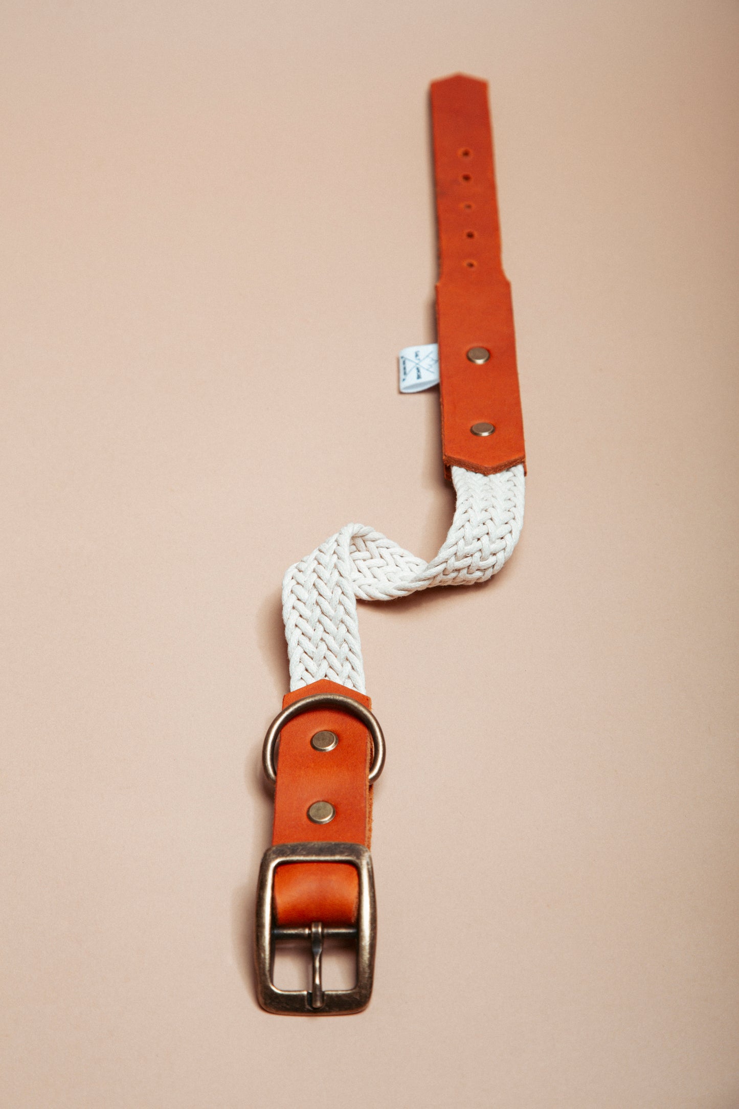 „Robustes, handgemachtes Hundehalsband aus gepflochtenem Gurtband und weichem Fettleder im beliebten Bohostil – langlebige, stylische Dogwear. Das Hundezubehör für deinen Alltag oder dein nächstes Abenteuer!