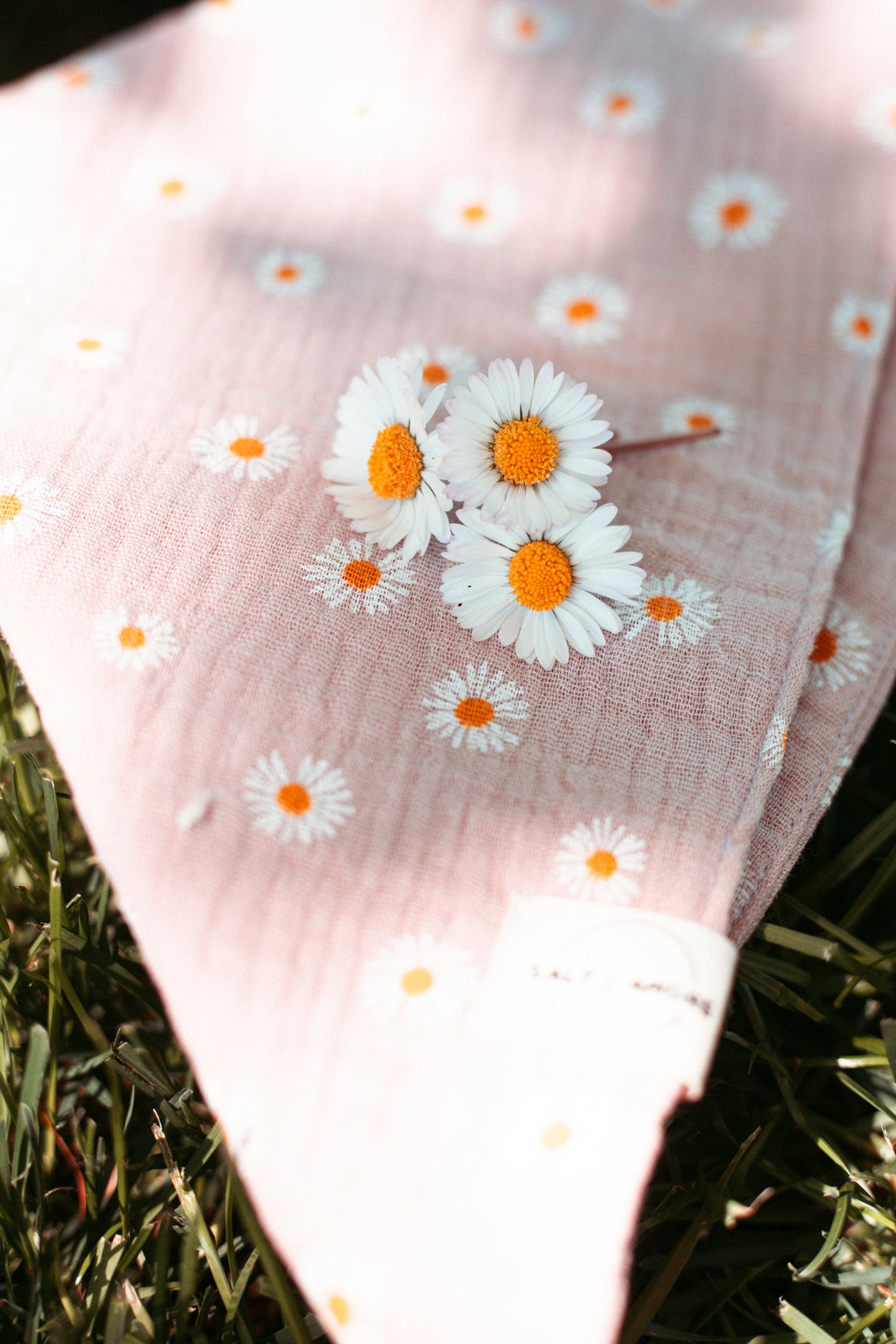 Handgemachtes Hundehalstuch aus Bio-Musselin mit Gänseblümchen-Print in Rosé – leichtes, stylisches Hundezubehör & perfekt für deinen Outdoorsommer mit Hund.