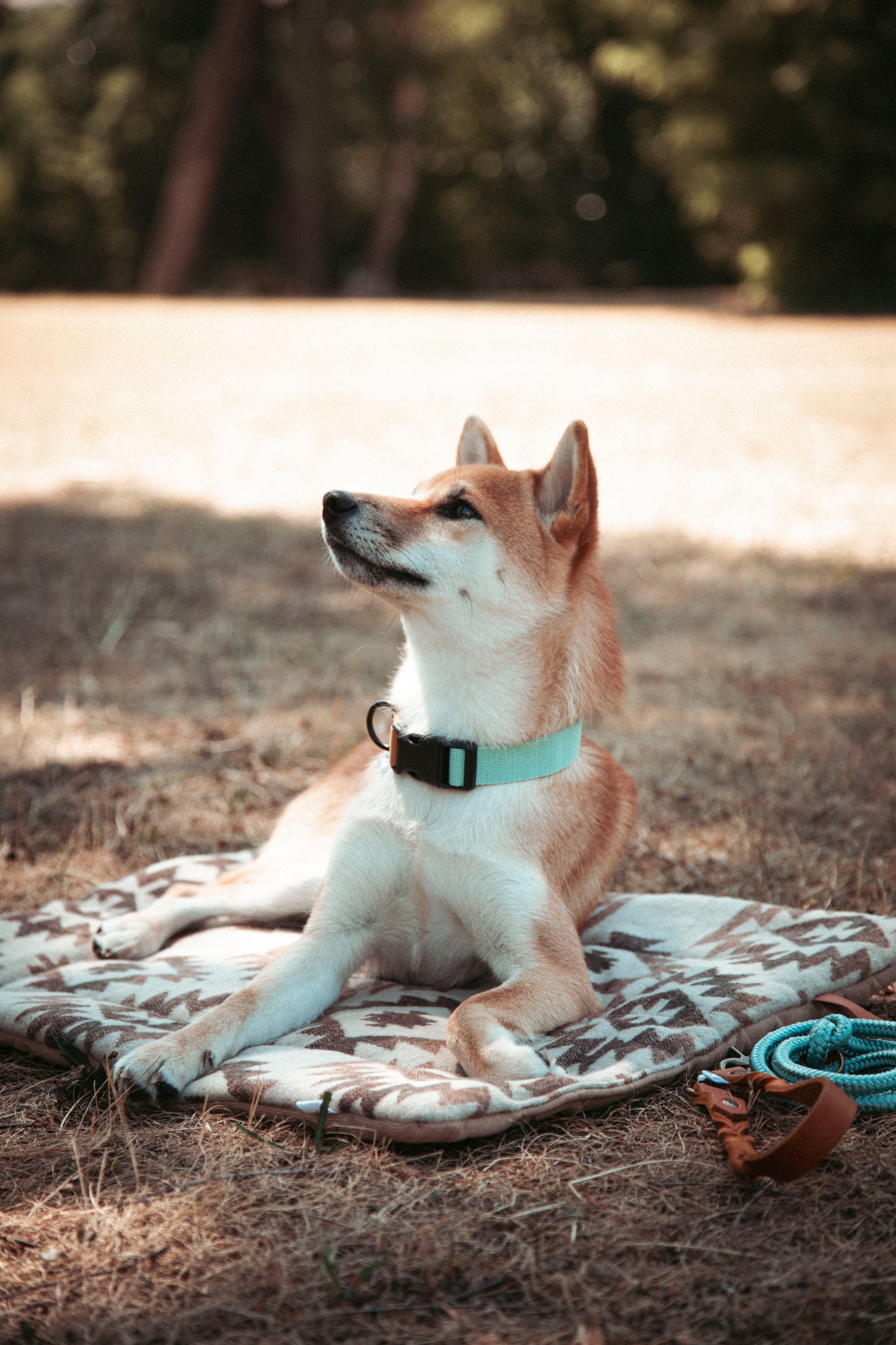 Travel Blanket | Basecamp | Roots of the North