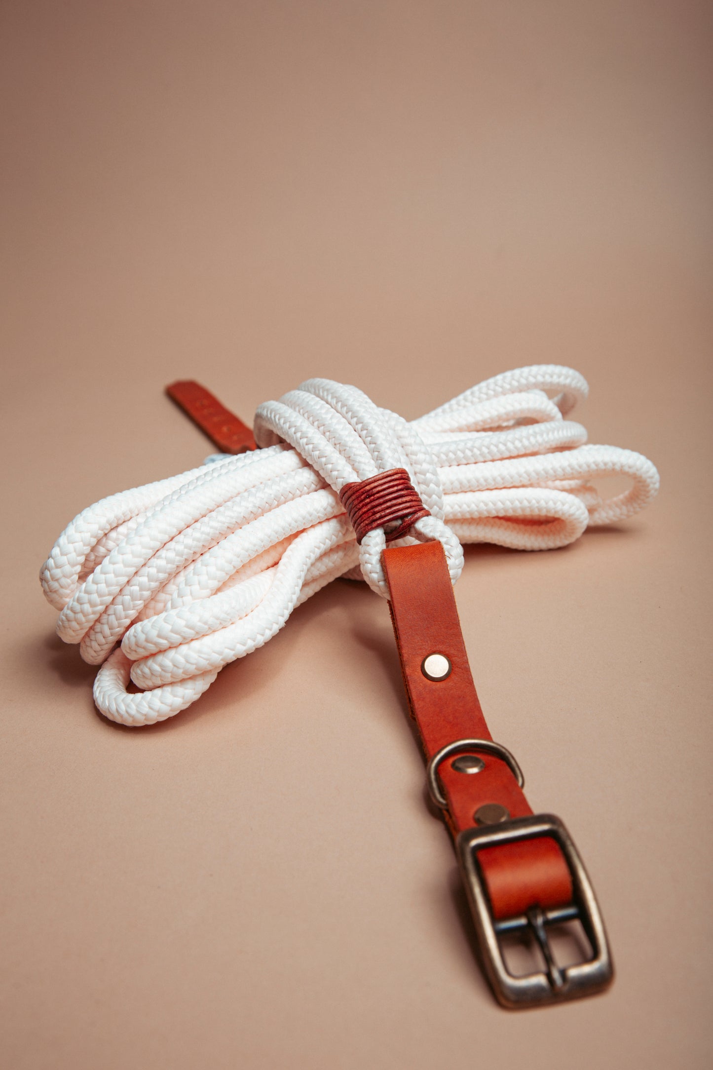 „Robustes Hundehalsband aus Kletterseil und weichem Fettleder – langlebige Dogwear. Das Hundezubehör für den Alltag in verschiedenen Farbtönen!" Mit stabilen Karabinern und wasserabweisenden Seil, für dein nächstes Abenteuer!