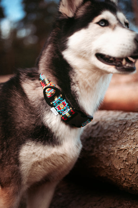 Ice Peak | verstellbares Hundehalsband