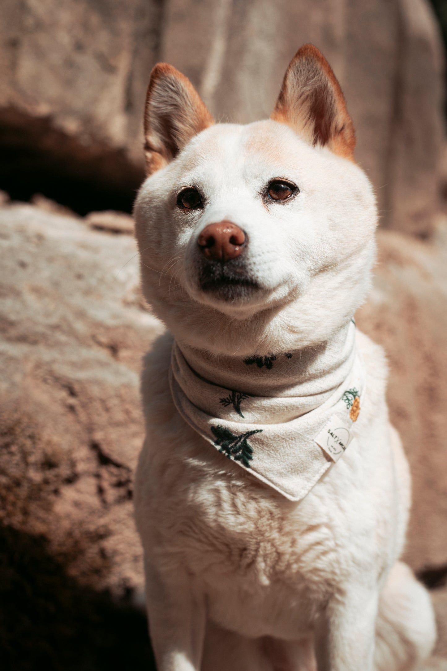Handgemachtes Boho-Hundehalstuch aus Leinen mit floraler Stickerei – leicht, stilvoll & ideal. Jetzt online shoppen.
