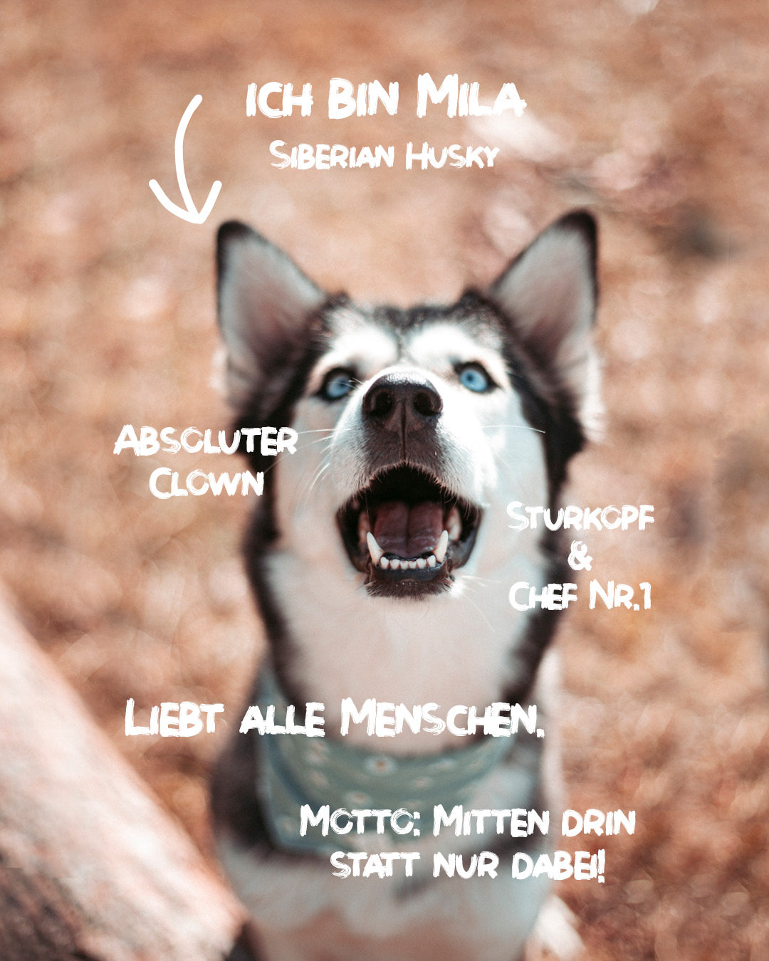 Porträt der Gründerin von saltXamore.thelabel, einer Outdoorwear-Marke für Hund und Mensch.