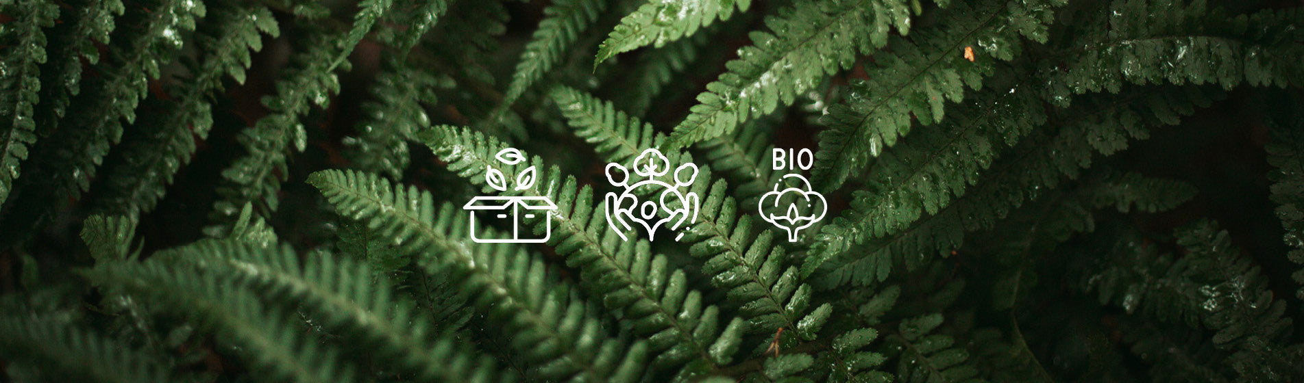 Die Verpackungen unserer handgemachten Produkte sowie unserer nachhaltigen Outdoorwear sind zu 100% plastikfrei. Für nachhaltigen Konsum, faire Produktion und eine gesunde Umwelt.