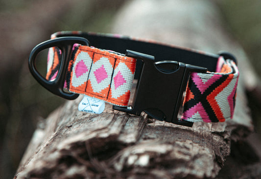 Welches Halsband passt zu meinem Hund? Die richtige Wahl für Alltag & Abenteuer