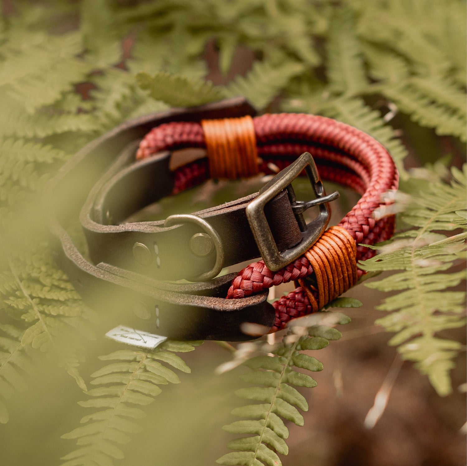 Handgemachtes Hundehalsband im Folklorestil, jetzt entdecken!