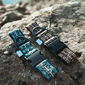 NØRDEN PAWS Collection