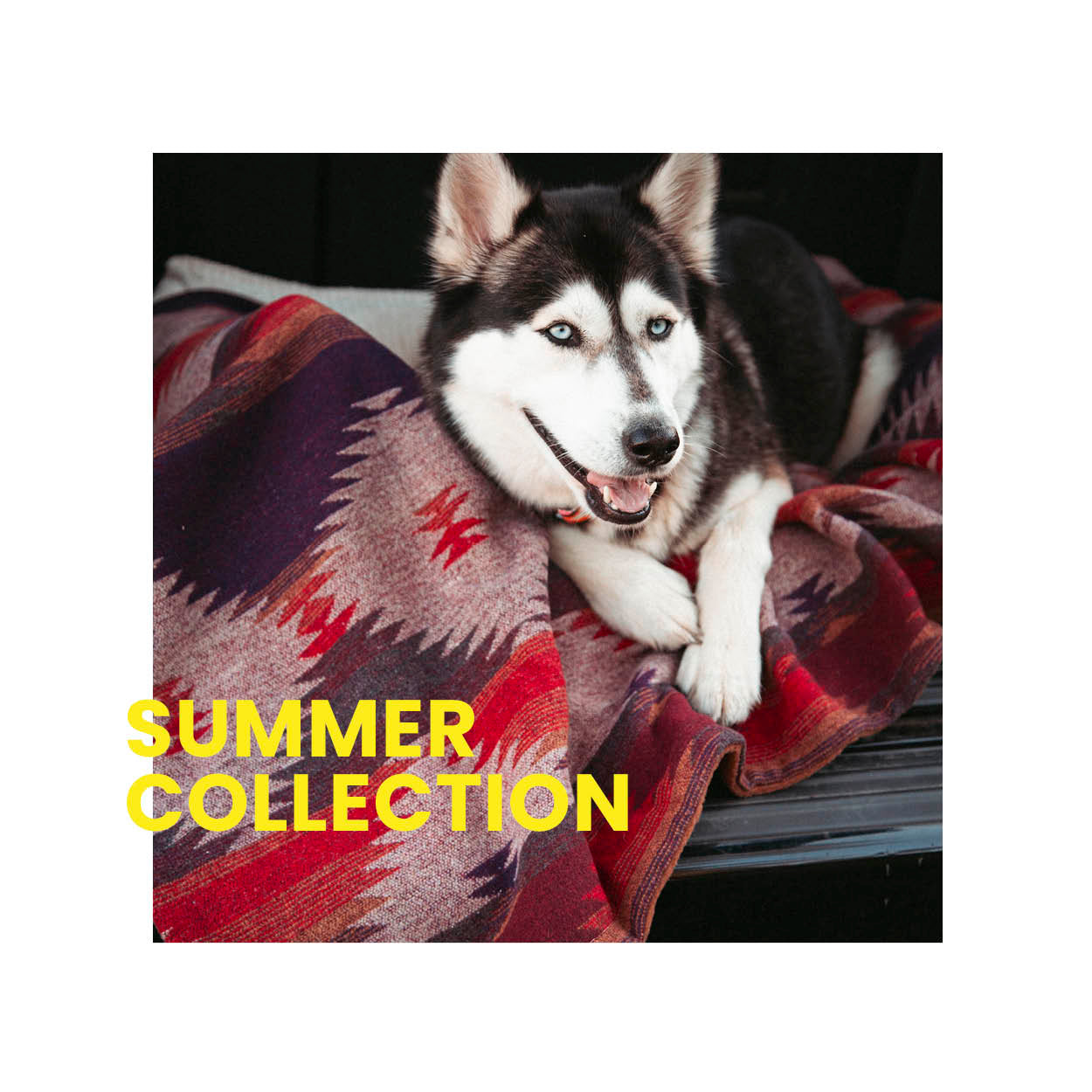 Summer Collection