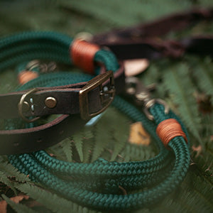 Wilderness - Collection