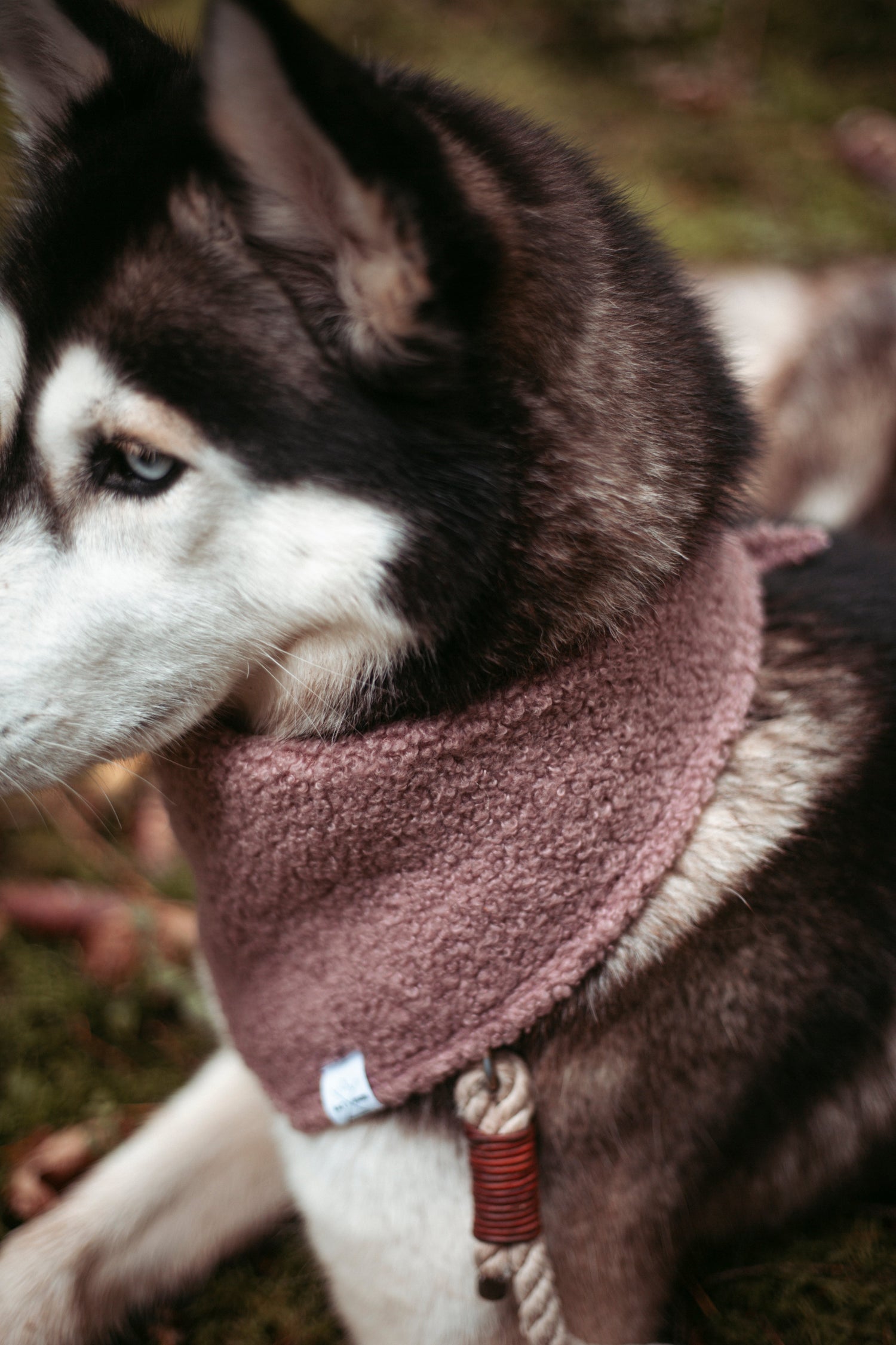 Hundehalstuch im Bohostil mit Quasten-Borte. Entdecke unsere handmade Hundeaccessoires!