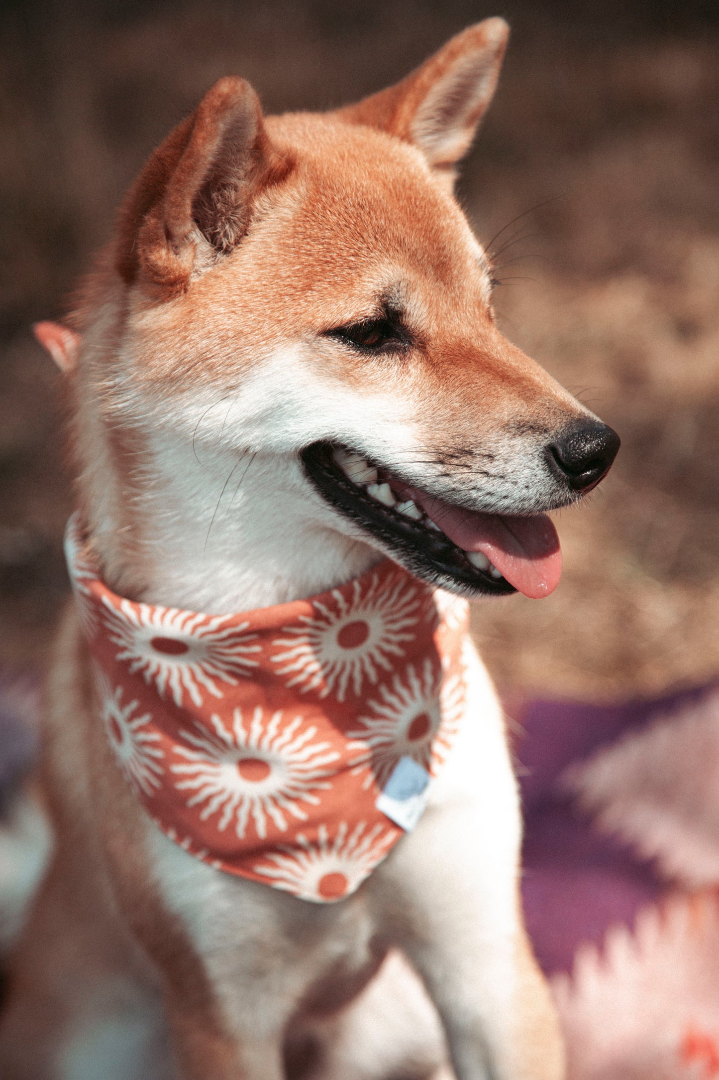 Hundehalstuch Solstice | Handgemachtes Bandana im Bohostil