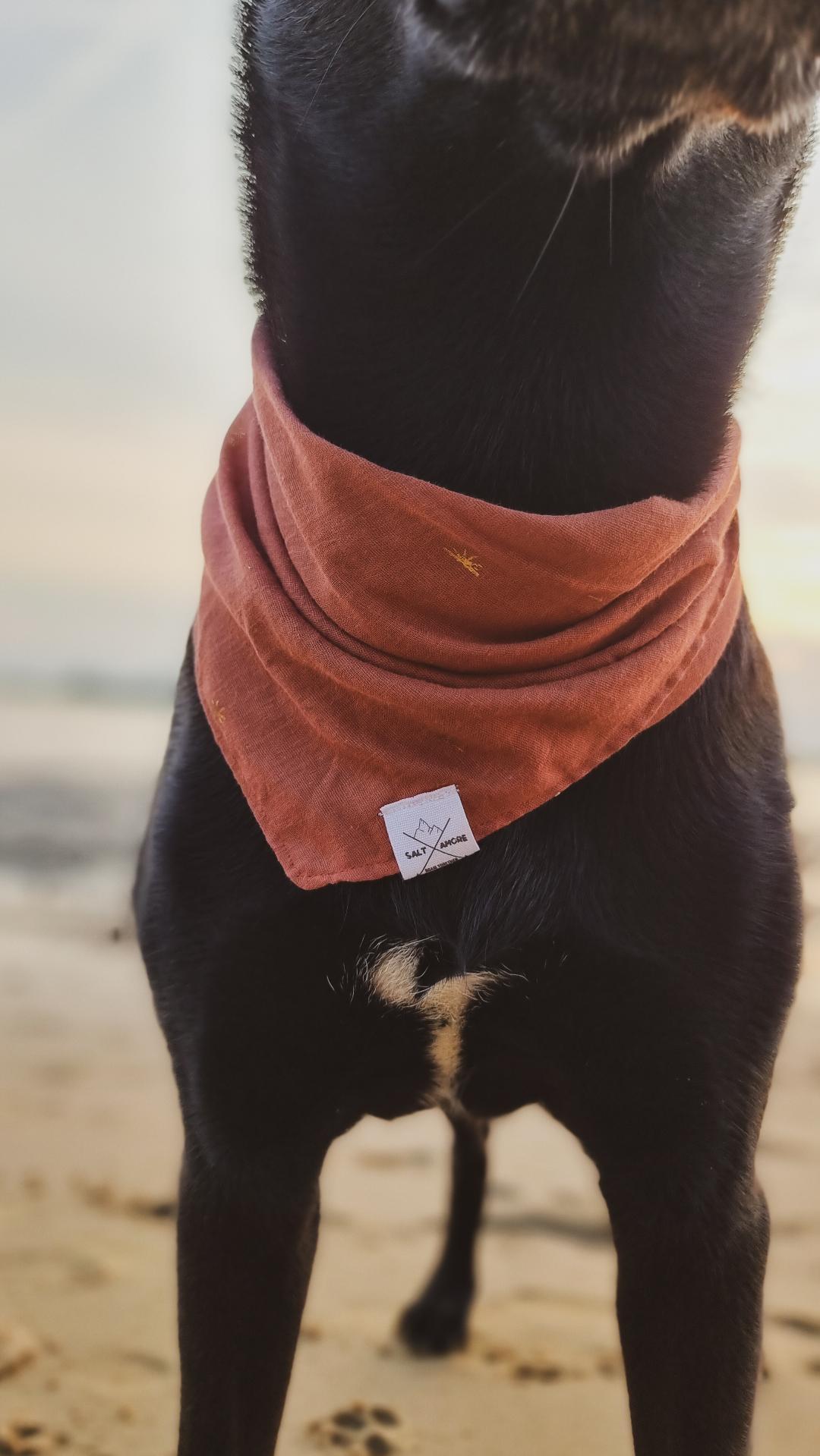 Hundehalstuch Sun Haze | Handgemachtes Bandana aus Bio-Baumwolle