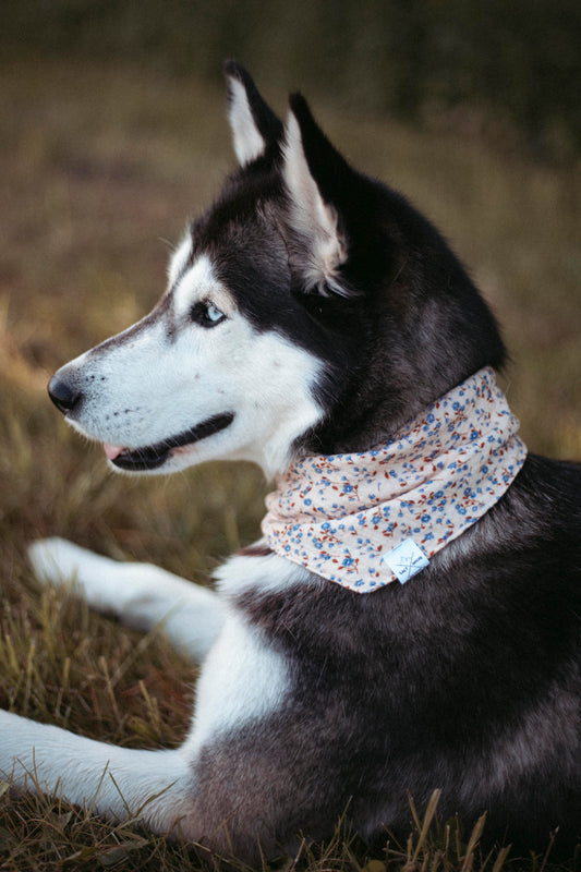 Hundehalstuch Pure Flower | Handgemachtes Bandana aus Bio-Baumwolle