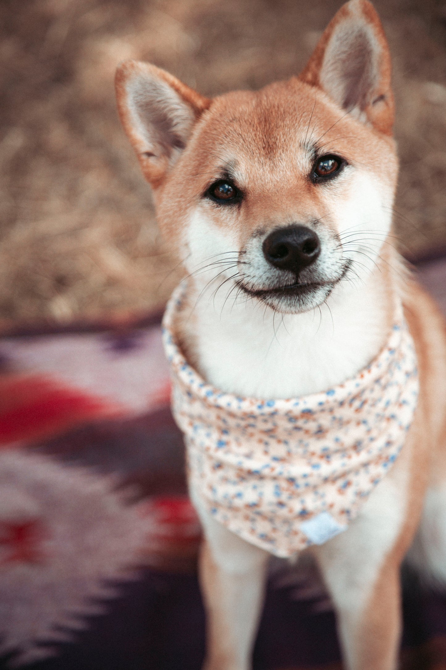 Hundehalstuch Pure Flower | Handgemachtes Bandana aus Bio-Baumwolle