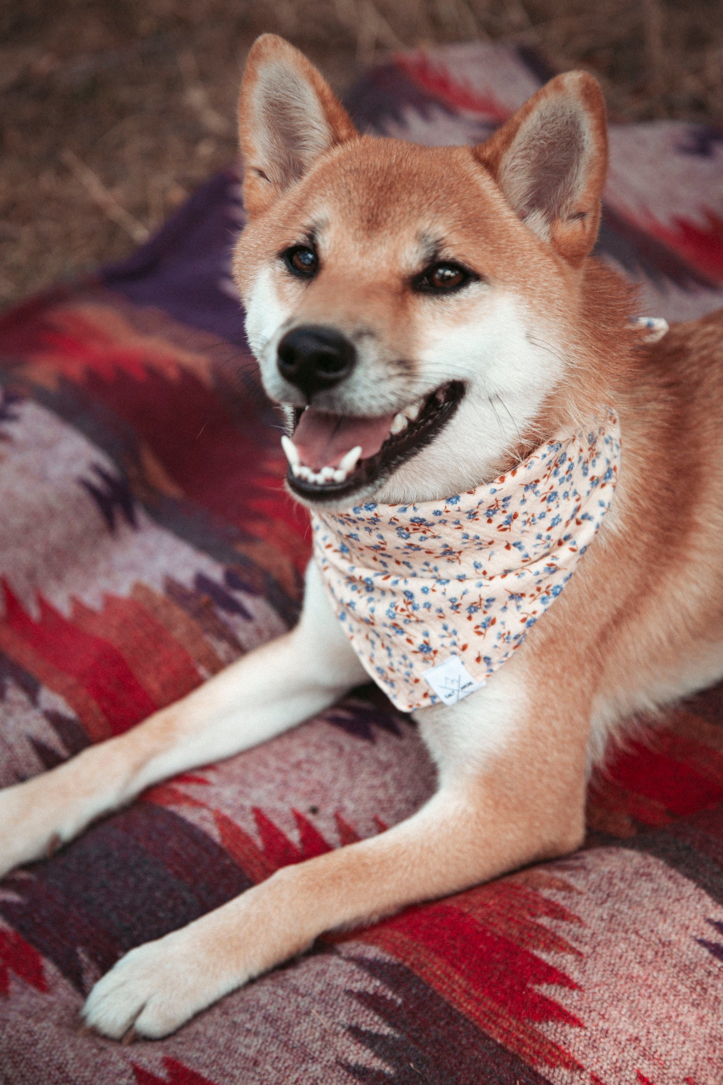 Hundehalstuch Pure Flower | Handgemachtes Bandana aus Bio-Baumwolle