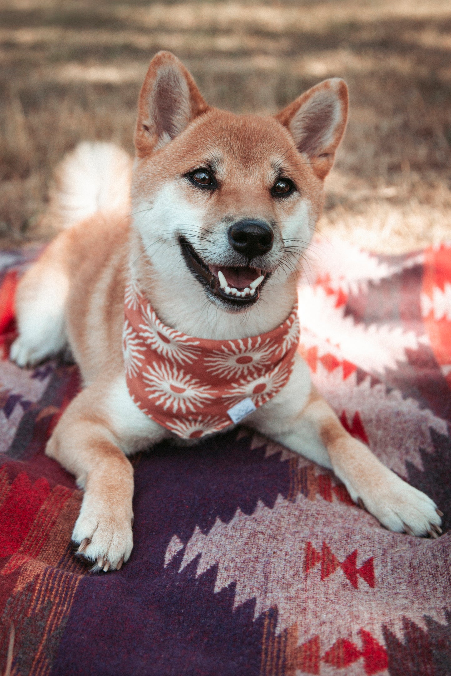 Hundehalstuch Solstice | Handgemachtes Bandana im Bohostil
