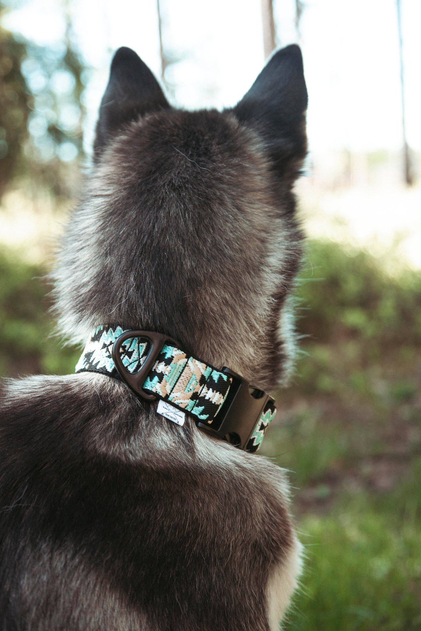 Verstellbares Hundehalsband | Ice Peak
