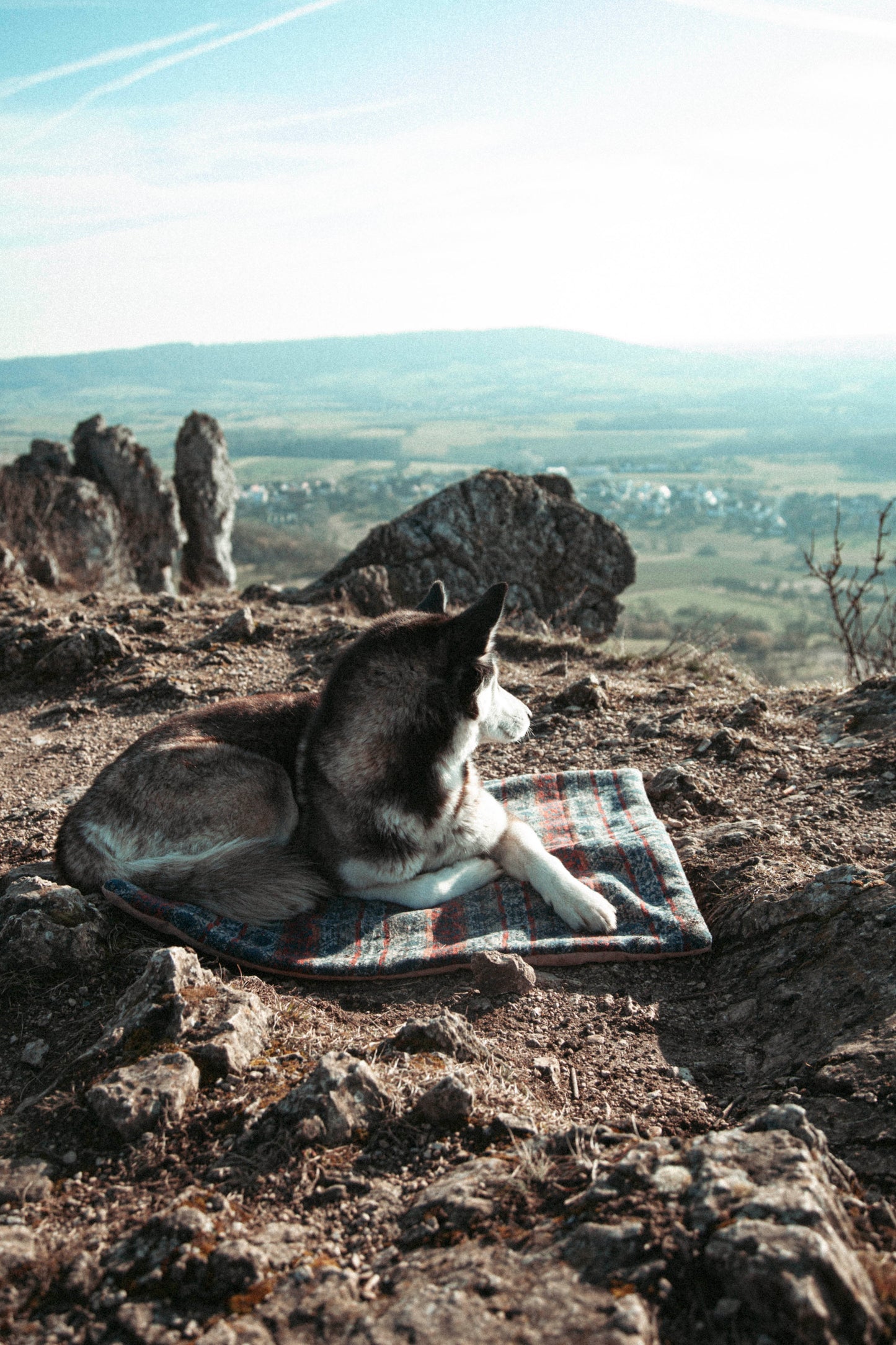 Travel Blanket | Basecamp | Northern Summit Collection