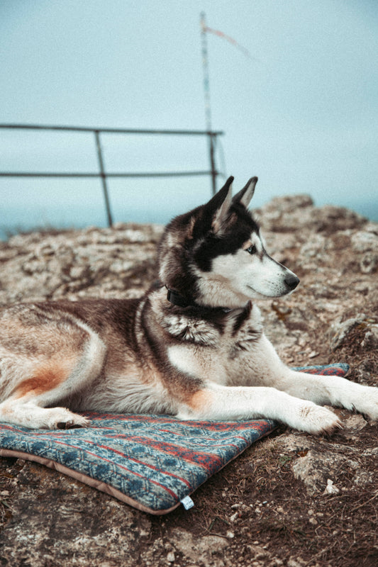 Hunde-Reisedecke – Northern Summit Collection  "Basecamp"
