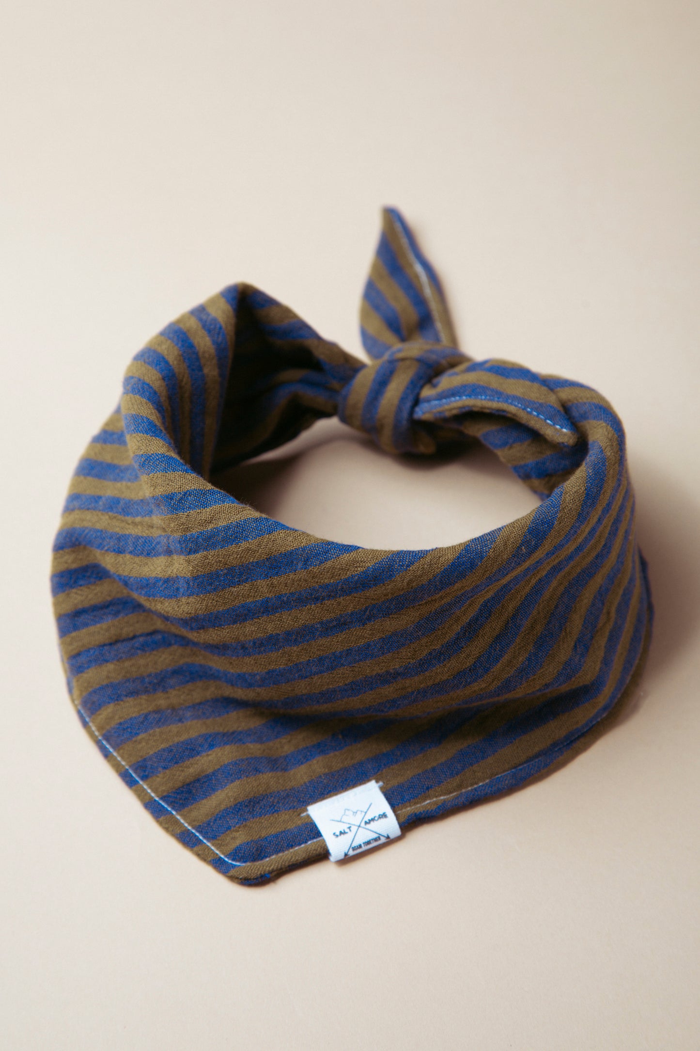 Hundehalstuch -  Outbound-Earth