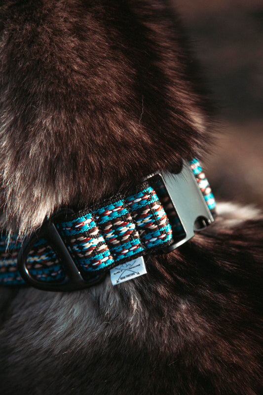 Hundehalsband - NØRDEN PAWS Collection - Glacier