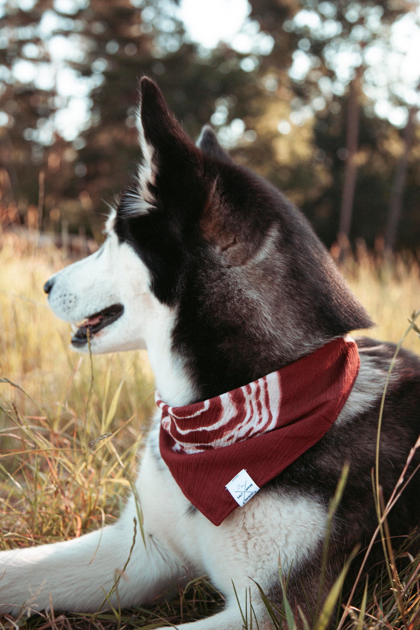 Hundehalstuch Amber | Handgemachtes Bandana aus Baumwolle