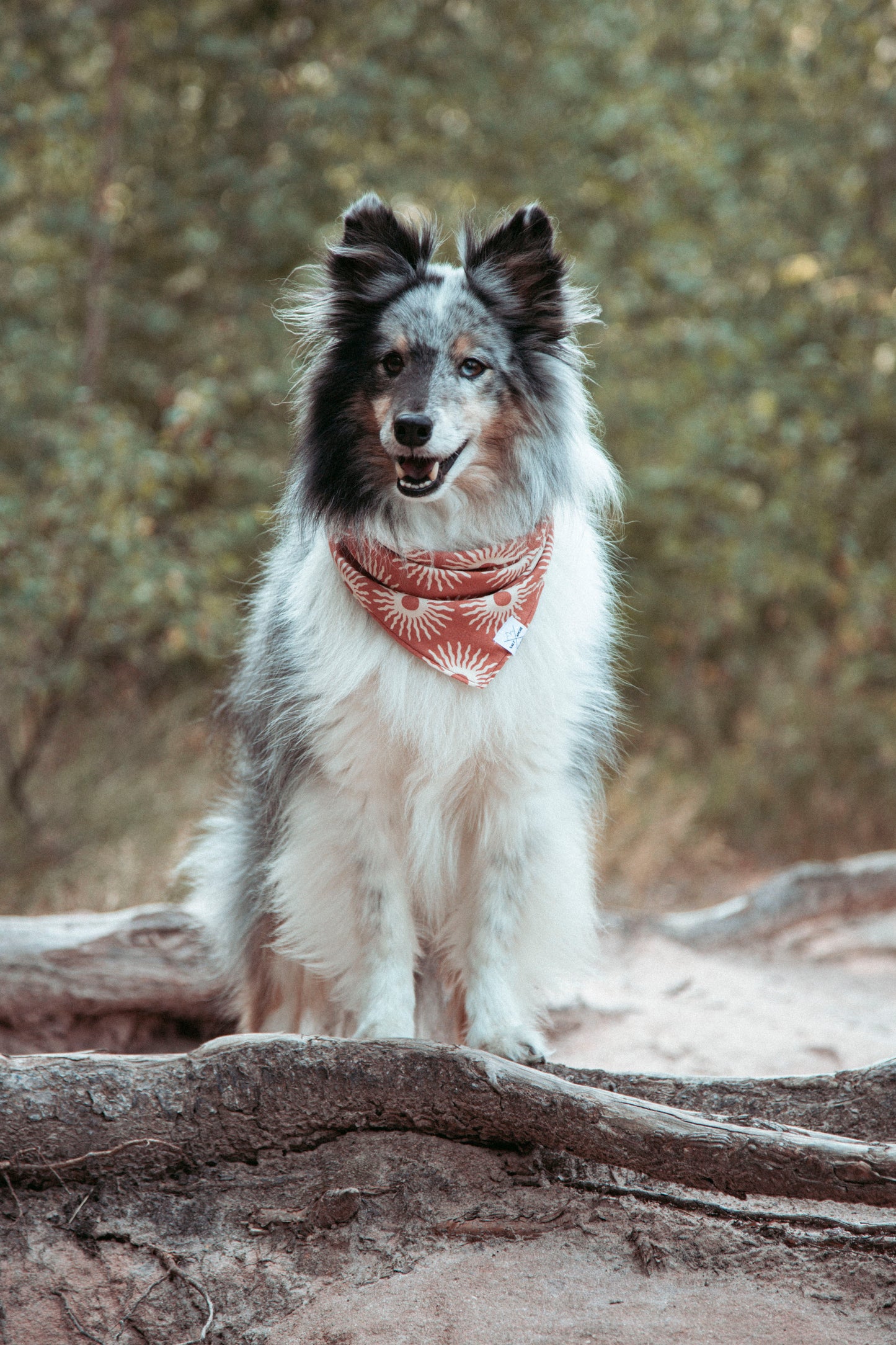 Hundehalstuch Solstice | Handgemachtes Bandana im Bohostil
