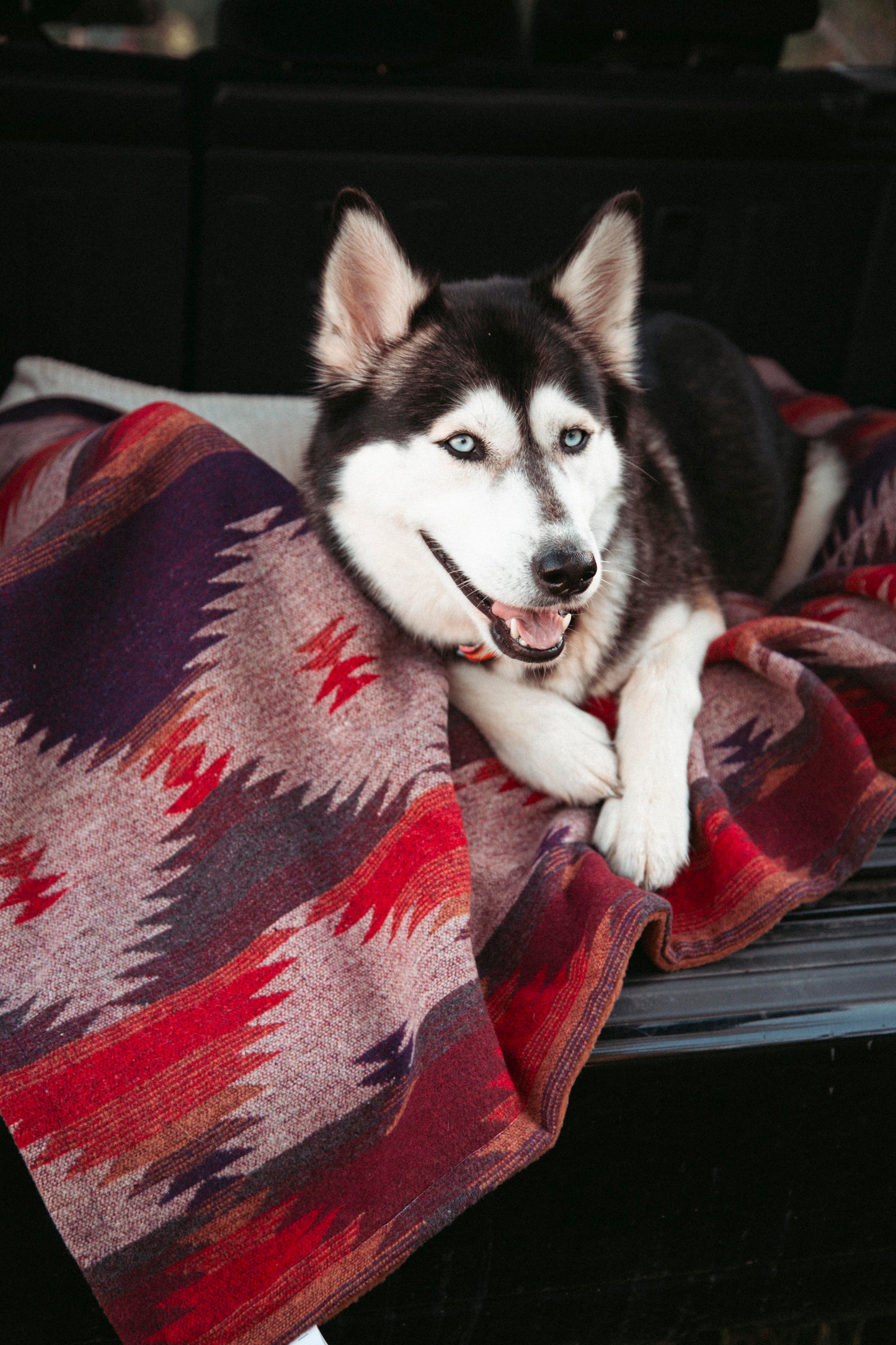 Cozy Blanket | Wildcamp | Kuscheldecke | Hundedecke
