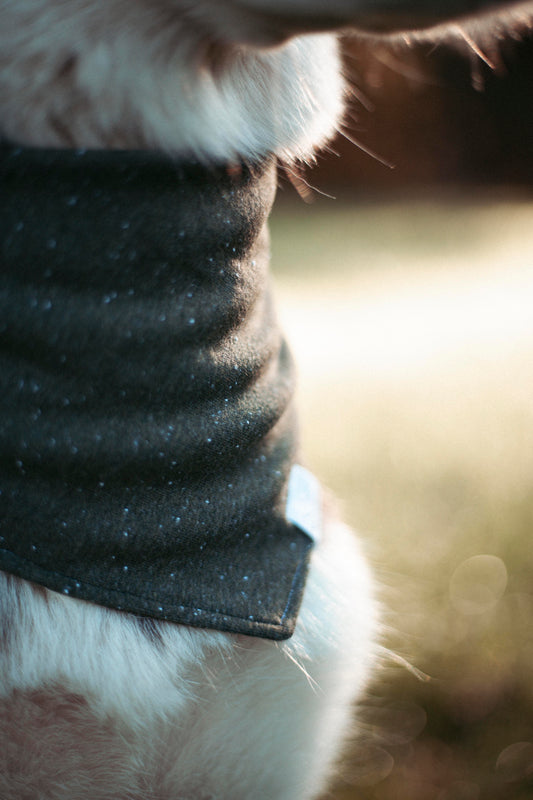 Woodland | Hundehalstuch