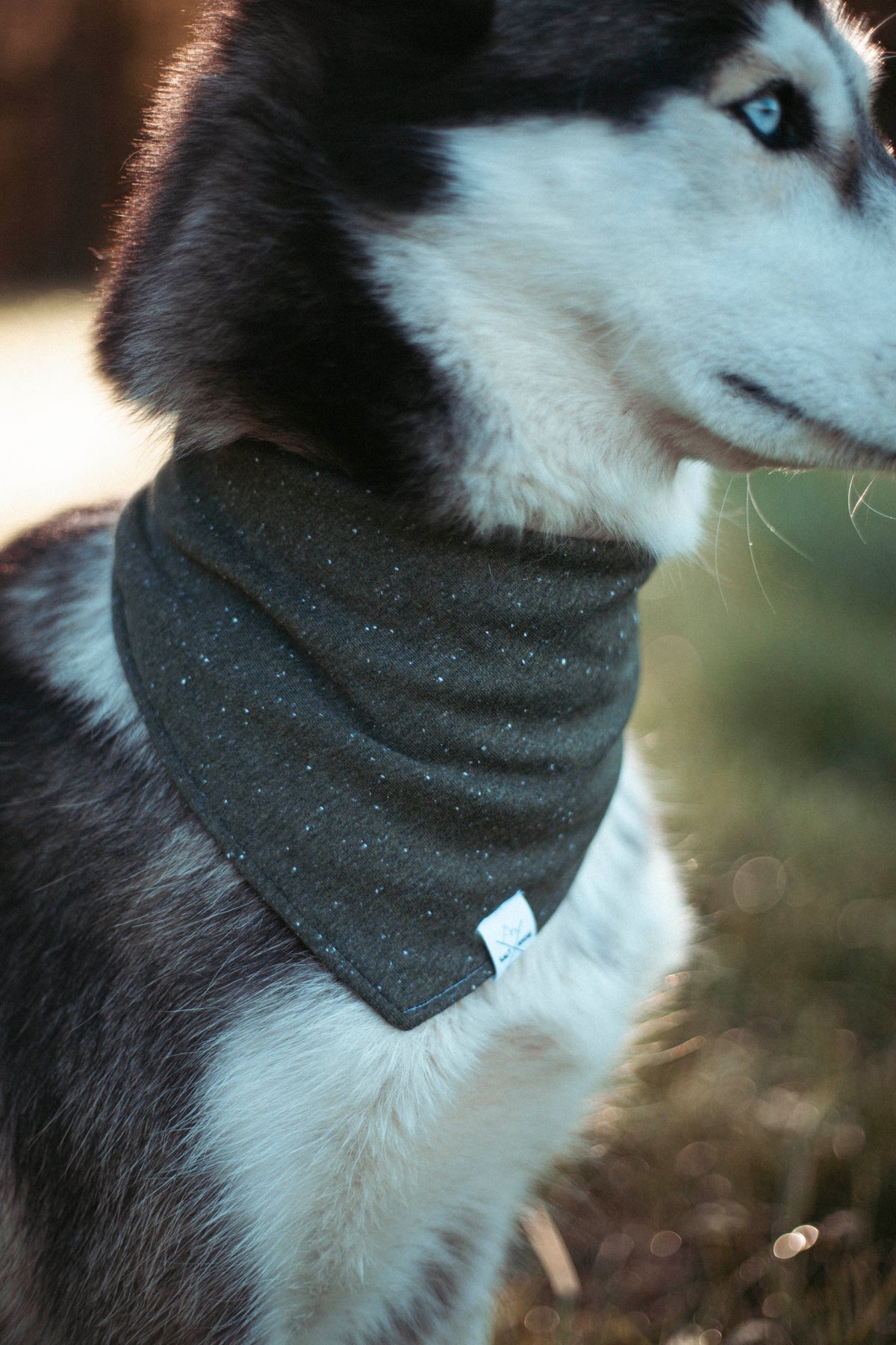Woodland | Hundehalstuch