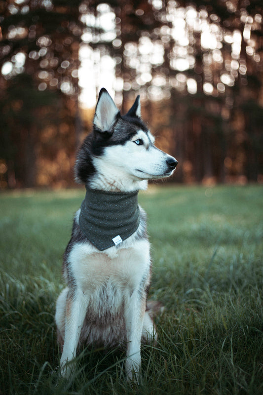 Woodland | Hundehalstuch