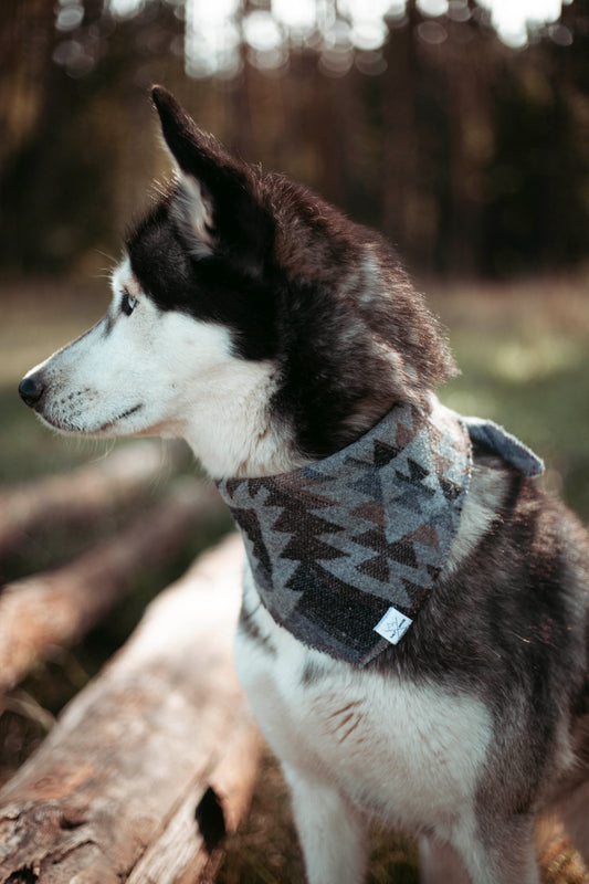 Pine & Peak | Hundehalstuch