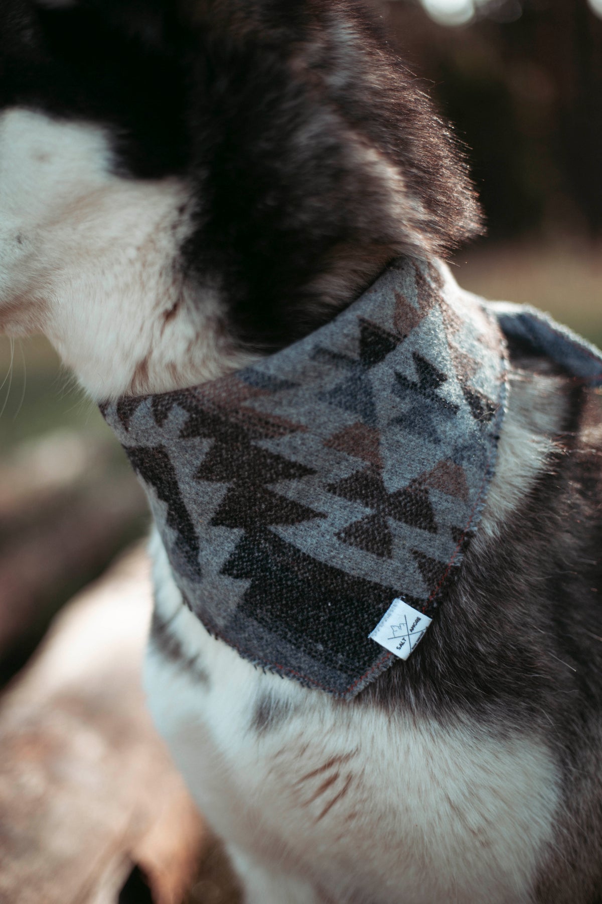 Pine & Peak | Hundehalstuch