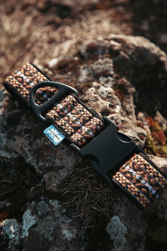 Hundehalsband - NØRDEN PAWS Collection -  Canyon