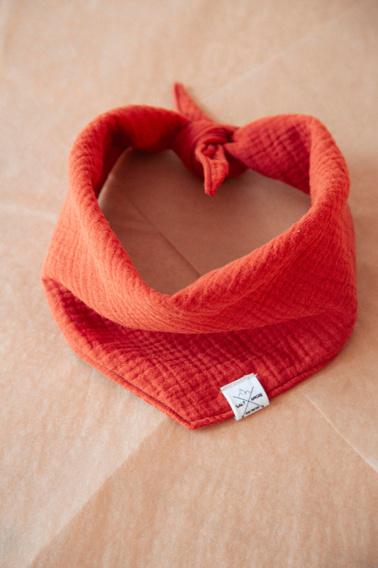 Hundehalstuch -  Terra Glow