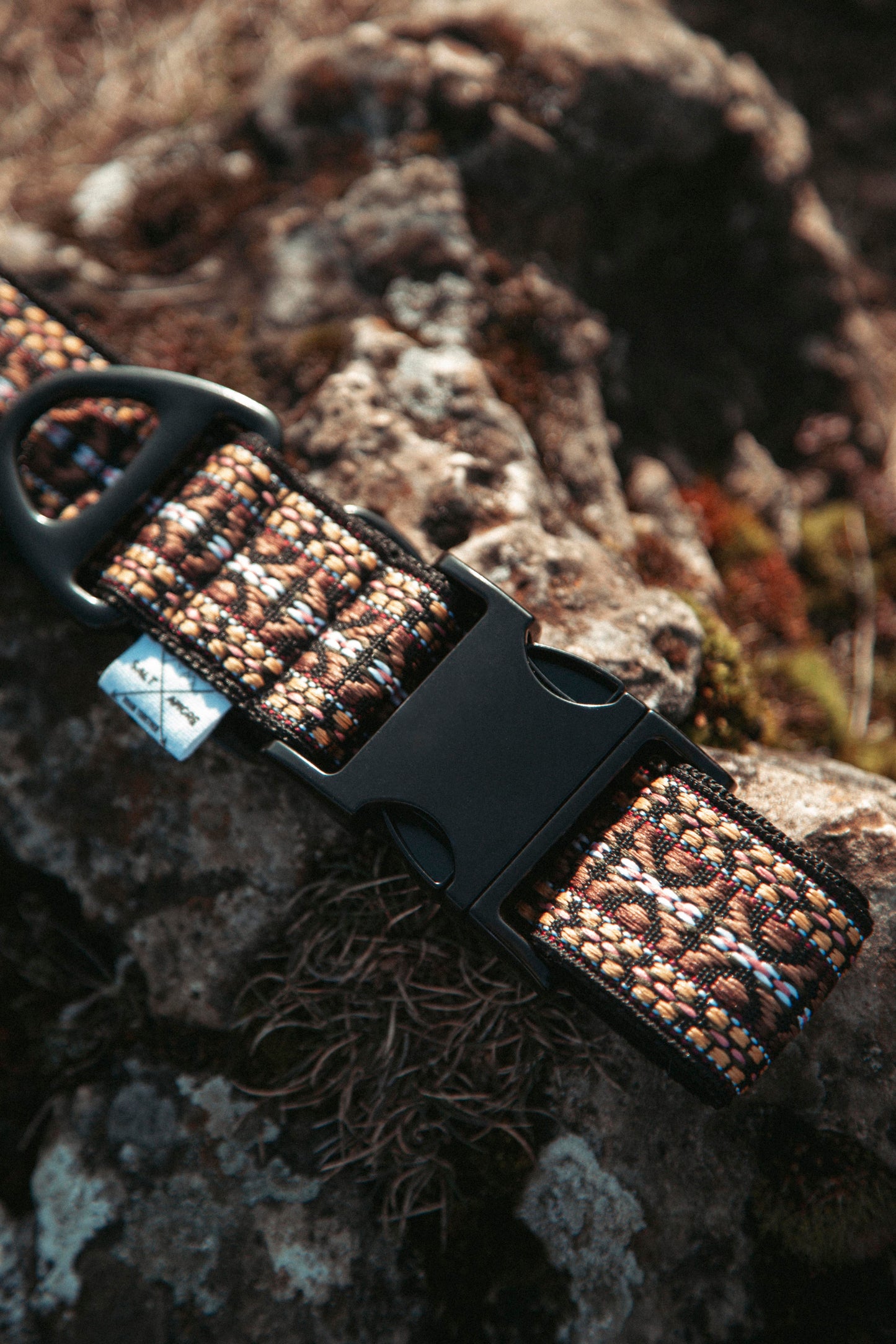 Hundehalsband - NØRDEN PAWS Collection -  Canyon